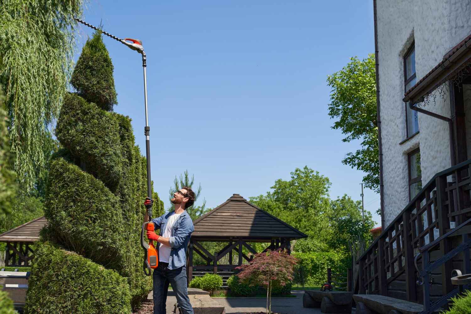 Tree Branch Trimming in Edina, MN